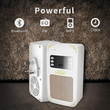 Honton ™ - Quran Speaker (SQ669)